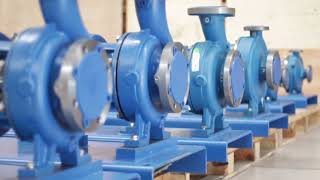 ANSI Process pump D 196 interchangeable Goulds 3196
