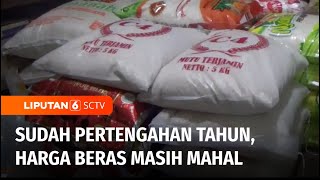 Harga Beras Kian Mahal, Diduga Akibat Panen Gabah Petani Anjlok | Liputan 6