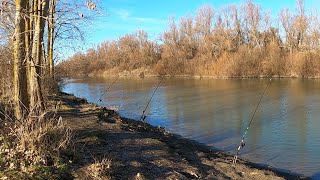 LA MULȚI ANI DE PE TĂTARU! 🐟🎣🎆