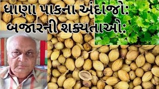 ધાણાના પાકની પરિસ્થિતિ: ઉત્પાદન: વપરાશ:નિકાસ: બધુ મળીને નવી સિઝન ભાવ કયા લેવલે સ્થિર થઈ શકે: