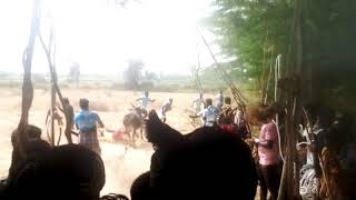 irungalur jallikattu 2019