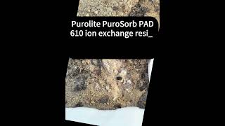 Purolite PuroSorb PAD610 ion exchange resin Vitamin B and E extraction