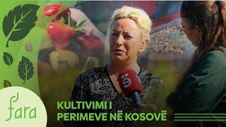 FARA - Kultivimi i perimeve në Kosovë | @teve1