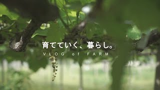 ワイン用のぶどうの手入れから。-育てていく、暮らし/VLOG of FARM-