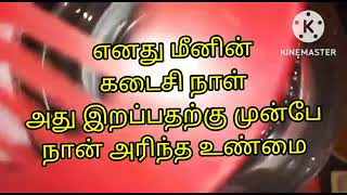 lost day of my fish|எனது மீனின் கடைசி நாள் 😔😔😔