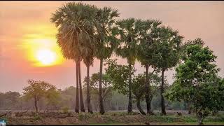 ខ្យល់សមុទ្រ - ស៊ីន ស៊ីសាមុត- អមដោយទេសភាពស្រុកស្រែ