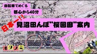 日本一の見沼田んぼ桜回廊自転車散策コース紹介