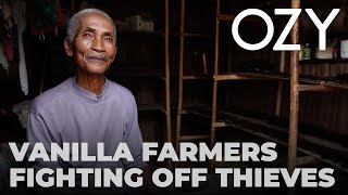 Madagascar’s Vanilla Farmers Fight Off Thieves | Around The World | OZY