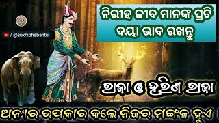 ରାଜା ଓ ହରିଣ ରାଜାର କାହାଣୀ  || raja o harina raja ra kahani || @SukhiBhabantu