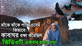 আল্লাহ আবাবিল পাখি দিয়ে যেভাবে 'কাবা' ঘর রক্ষা করেছিলেন | আবাবিল পাখি