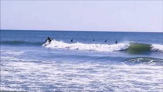 Dropout千葉Surfing　Olympic　Area　釣ヶ崎海岸　gasutomae・志田下・SidaTora・東浪見海岸を梅雨入り前に歩いてみてた　波質の変化をCheck　20200610撮影