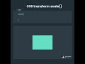CSS transform scale