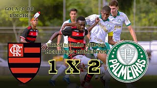 Flamengo 1 x 2 Palmeiras - Melhores Momentos - Brasileirão Sub-20 2024