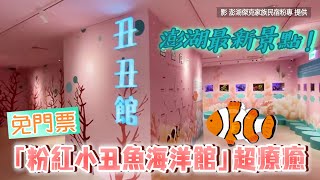 澎湖最新景點要開了！「粉紅小丑魚海洋館」超療癒　免門票玩到爽