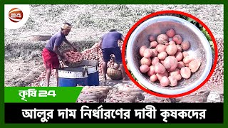 লোকসান পুষিয়ে নিতে 'আগাম আলু' চাষ | Potato | Channel 24