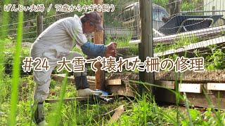 【75歳ヤギ飼い#24】大雪で壊れた柵を修理 廃材を使ってDIY