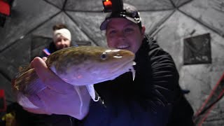 The Sal Channel Burbot (Lake Winnipeg)