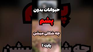 حیوانات بدون پشم چه شکلی میشن؟🤨🐁 پارت 1