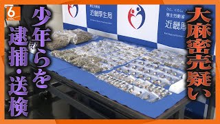 【大麻密売疑いで少年ら4人逮捕】法律改正で12日から大麻も麻薬に位置づけ　近畿厚生局麻薬取締部