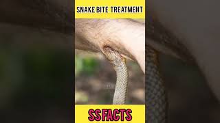 😱🐍What if a Snake Bites you ?? | INTERESTING FACTS IN TELUGU| SS FACTS | #shorts #trending