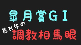 #皐月賞#暴れ牛#相馬眼 2020年【皐月賞GⅠ】暴れ牛の調教相馬眼