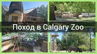 Поход в зоопарк. Calgary Zoo. Куда пойти отдохнуть в Канаде. Куда пойти в Калгари. Канада