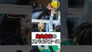 自由自在のスパイクコース #stings #volleyball #vリーグ #ジェイテクトstings