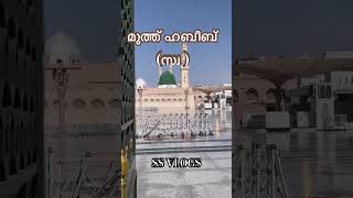 മുത്ത് ഹബീബ് #shortsfeed #trending #ytviral#islam #madeenah#shorts #masjidnabawi #muhammad #ytshorts