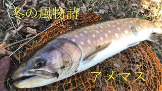 北海道ルアーフィッシング！冬の風物詩、湿原河川のアメマス　Hokkaido 　Ｗｅｔｌａｎｎｄ　Ｒｉｖｅｒ　Ｌｕｒｅ　Ｆｉｓｈｉｎｇ