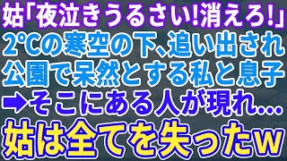 【スカッとする話】義母「夜泣きがうるさい！出て行け！」夫が単身赴任中、2°ｃの寒空に息子と追い出された。公園で凍えているとある人が現れ…→義母は全てを失ったｗ【修羅場】