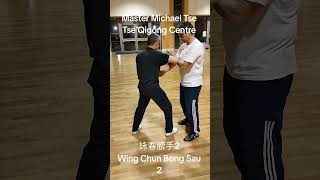 詠春膀手2 Wing Chun Bong Sau 2#功夫 #kungfu #martialarts #詠春拳 #wingchun #ipman #ipchun #葉問 #葉準 #chisau #黐手