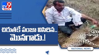 Karnataka man strangles leopard to death after animal attacks him and family -TV9