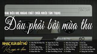 Đâu Phải Bởi Mùa Thu - Giai Điệu Nhẹ Nhàng Chất Chứa Đầy Tâm Trạng | Nhạc Xưa Bất Hủ Vạn Người Mê