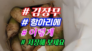 김장무 저장법. 겨울 무우 항아리에 이렇게 저장해 보세요.