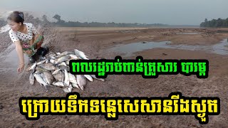 ពលរដ្ឋរាប់ពាន់គ្រួសារ បារម្ភពីរបរនេសាទ និងការធ្វើកសិកម្ម ក្រោយទឹកទន្លេសេសានរីងស្ងួត