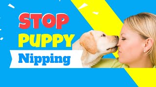 Stop Puppy Nipping