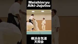 Aiki Jujutsu the magic of Japanese Martial Arts : Aiki 17