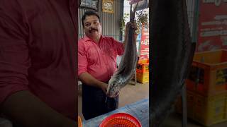 ഈ മീന്റെ യഥാർഥ പേര് പറയാമോ 😱 #tomysfishhub #seafish #fishmarket #shortsyoutube #shorts #shortsviral