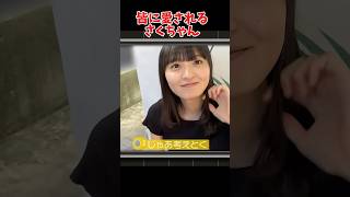 皆に愛されるさくちゃん #乃木坂46 #乃木坂工事中 #遠藤さくら