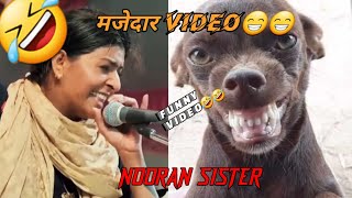 NOORAN SISTERS FUNNY VIDEO🤣 ||मज़ेदार वीडियो || nooran sisters funny video