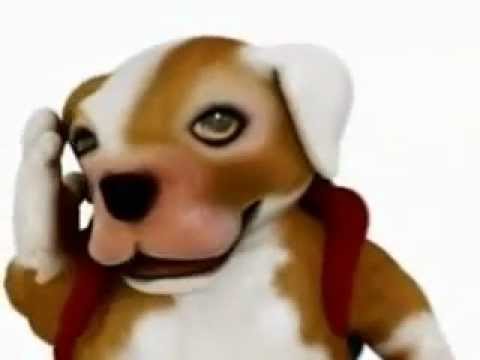 Animals Animados Cantores! Factor X ORIGINAL Version Compilated! www bajaryoutube com’ Animals Animados Cantores! Factor X ORIGINAL Version Compilated! www bajaryoutube com