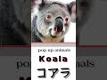 Koala Magic: Stunning 3D Photo Animation  #animal #ai #shots