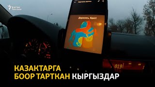 Казактарга боор тарткан кыргыздар