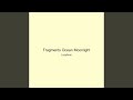 Fragments Ocean Moonlight