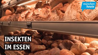 Insekten im Essen - Wie Münchener Bäckereien auf die neue EU-Verordnung reagieren.