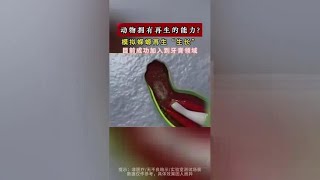 北京牛人研发出“regesi”新材料，已用于牙膏牙齿领域，获得国家多项专利 #牙膏 #牙齿 #刷牙