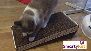 SmartyKat Super Scratcher from Worldwise