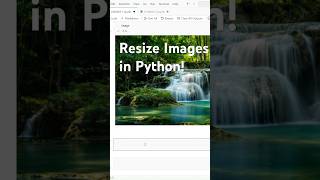 Resize Your Images in Python | Fast & Easy!