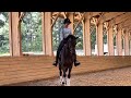 2023 USDF INTRO B - ride thru