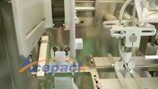 SG-180 Bottle Shape Premade Pouch Packing Machine